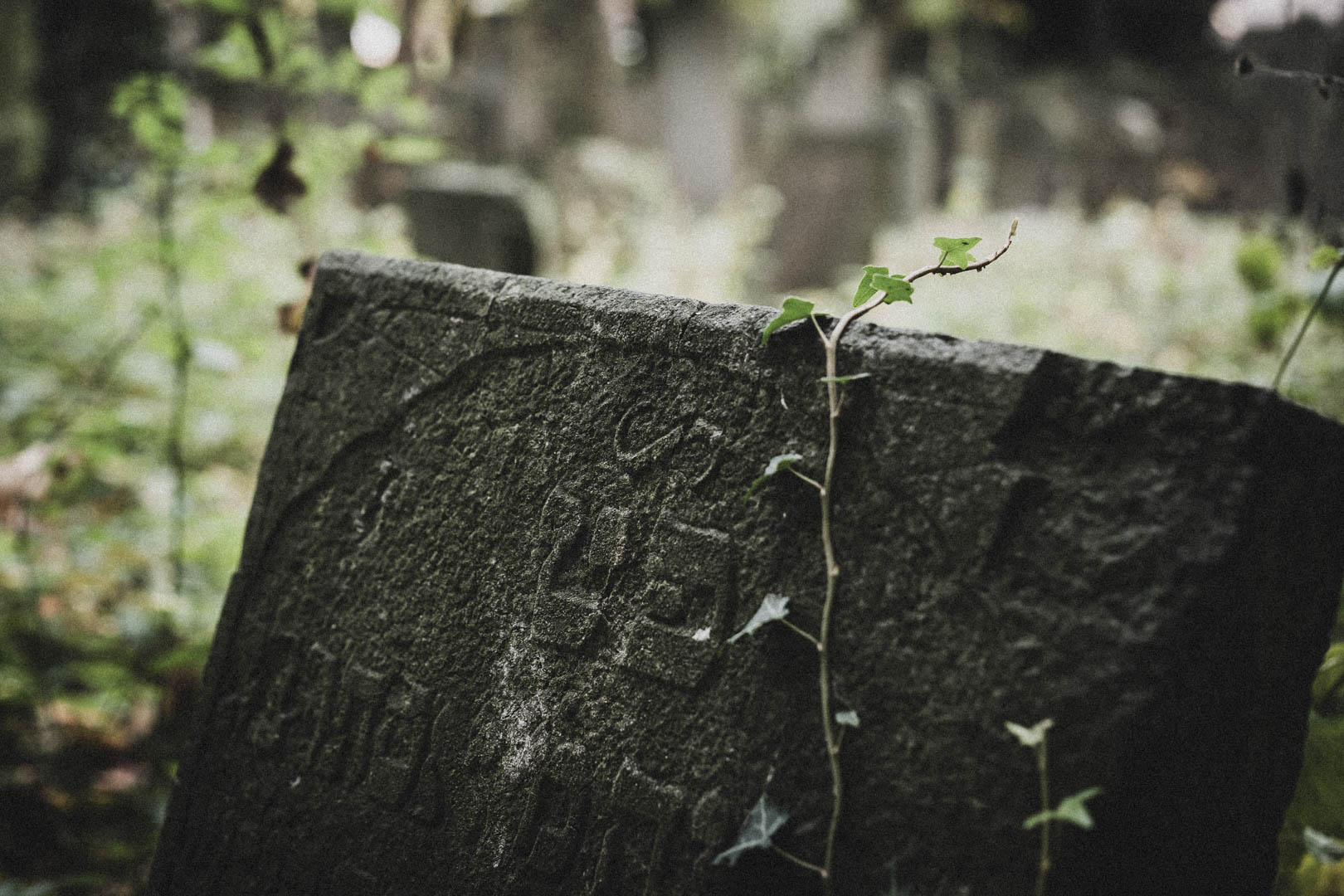 Emden, Jüdischer Friedhof